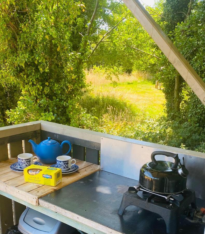 圣伦纳兹 Glamping At Back Of Beyond Touring Park酒店 外观 照片